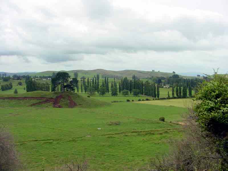 DSC04145