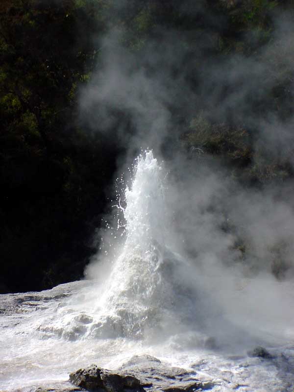 DSC04204