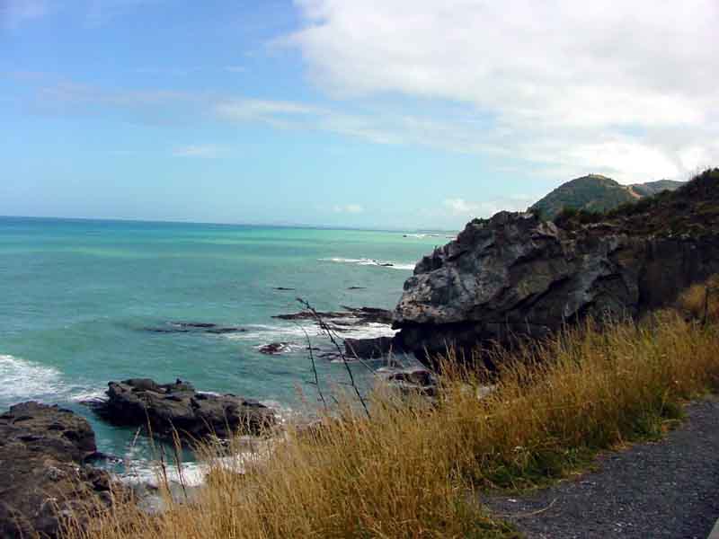 DSC04311