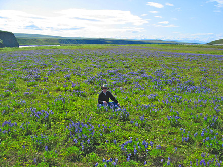 Jan in Lupines